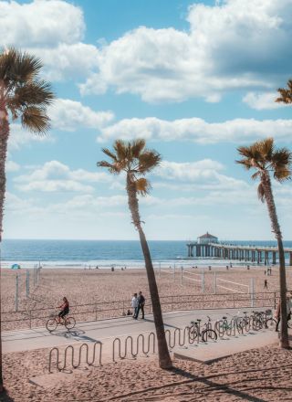 A sunny beach scene with palm trees, a pier in the distance, people walking and biking, and vehicles parked nearby ends the sentence.