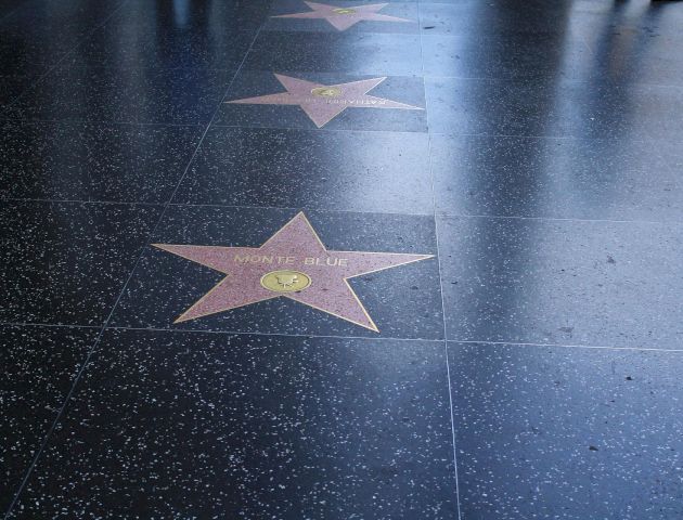 The image shows several stars on a sidewalk, resembling the Hollywood Walk of Fame. Names are present on the stars, but they are not fully readable.